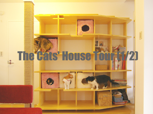 猫の家　写真集P11