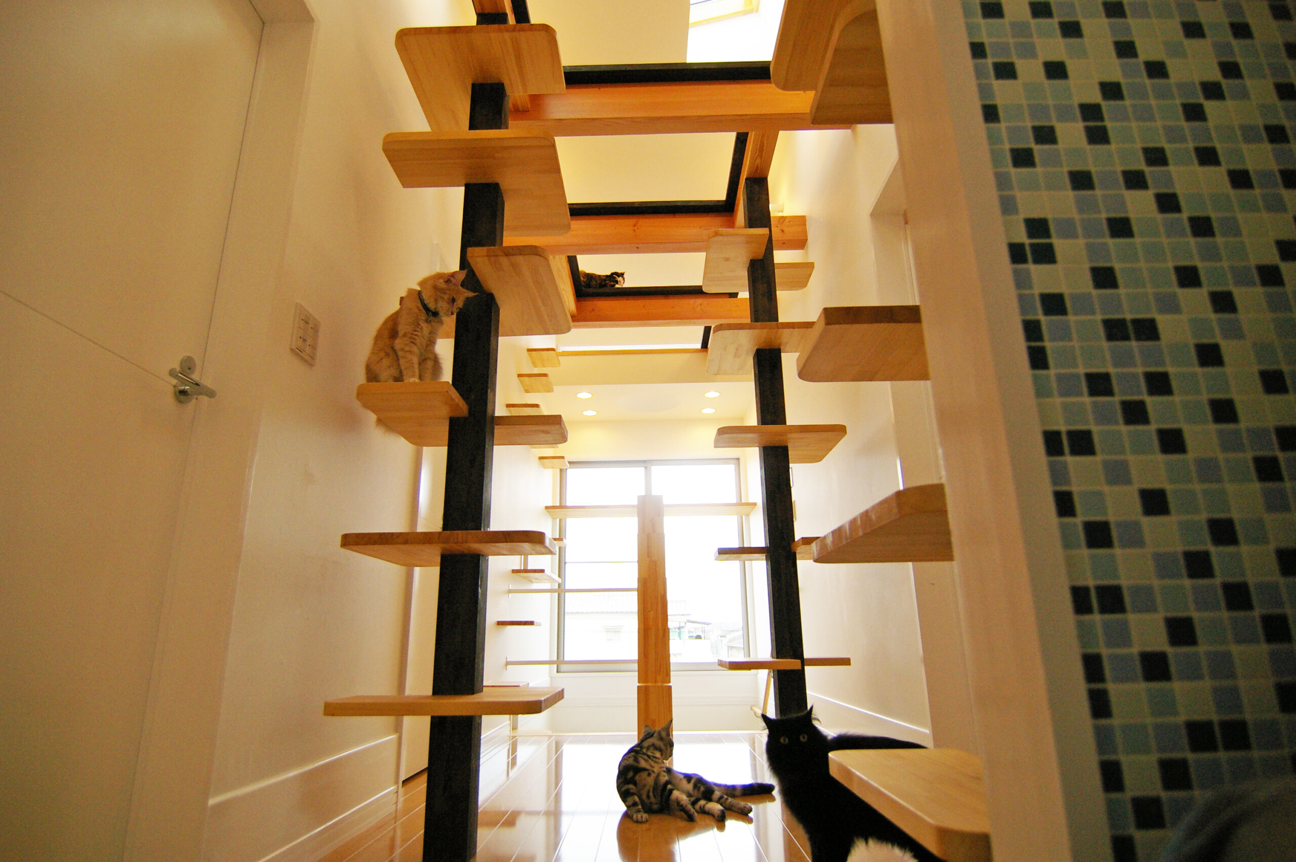 PlayRoom