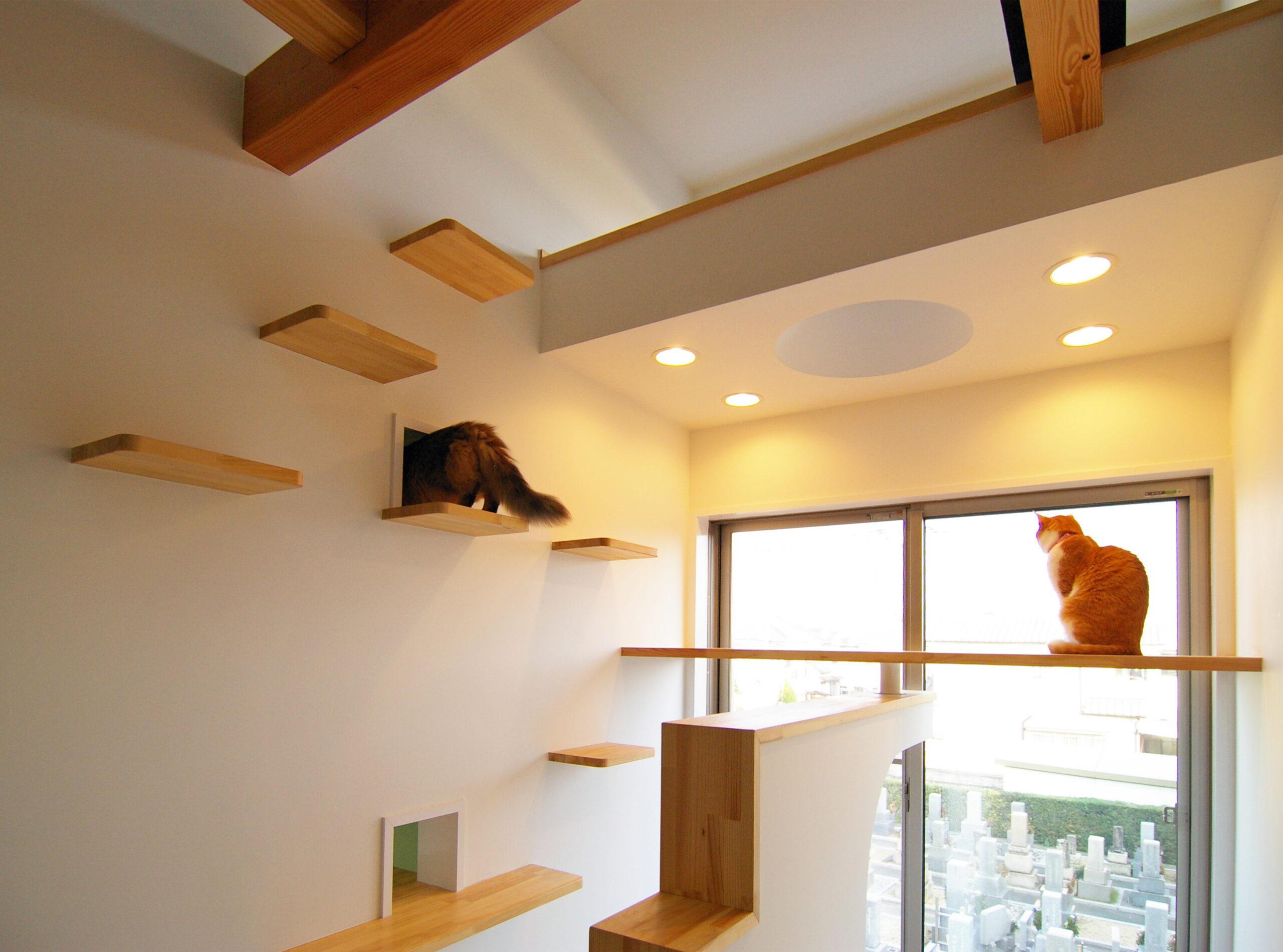 黒い板の部分がキャットウォーク。