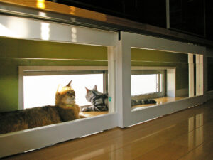 窓に沿って延びる細長い猫トンネル。中を二匹の猫が通っている。